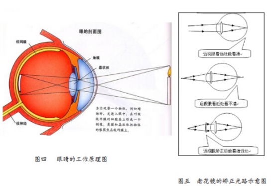 美麗島眼鏡：老花鏡不可隨意亂帶，需要在專業(yè)驗光后科學配制