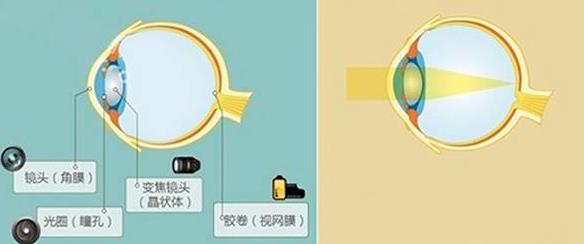 怎么佩戴老花鏡？驗光 品牌 質量 保養(yǎng)一個都不能少