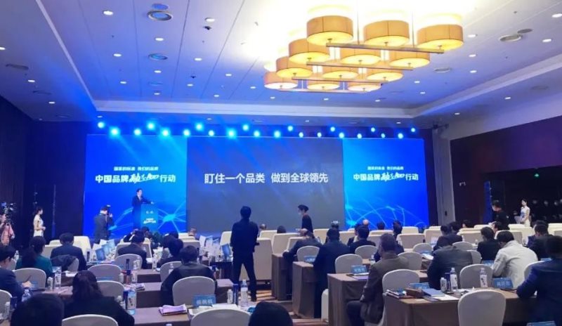 定了！美麗島進了國家隊，新華社專訪